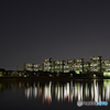 高層住宅群夜景