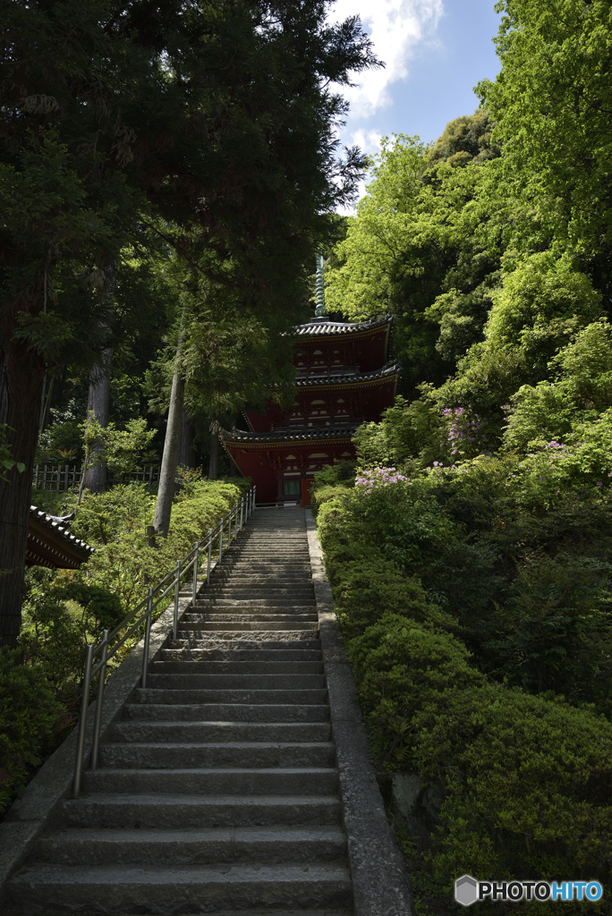 松尾寺