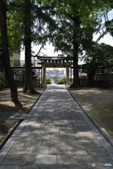 鳥居の先には...