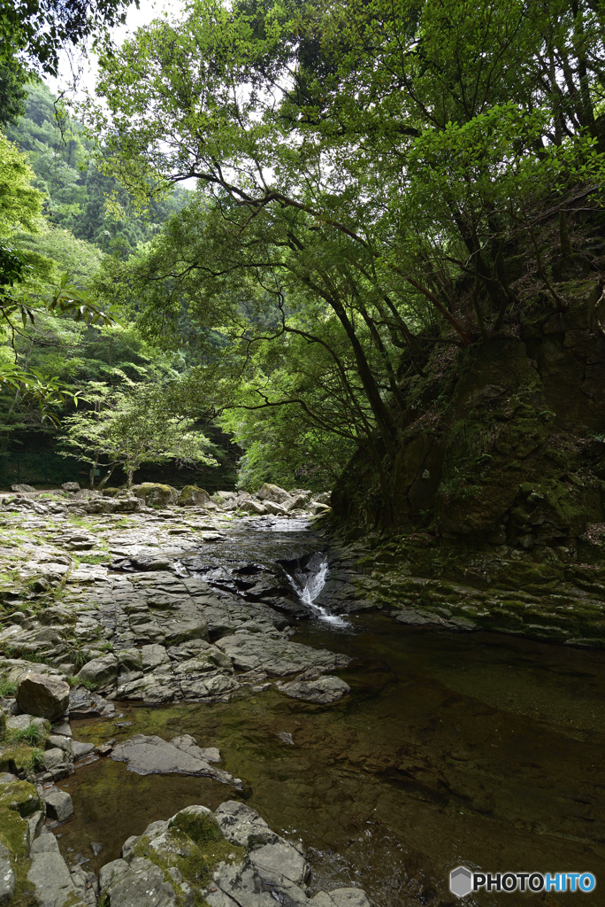 緑と水と