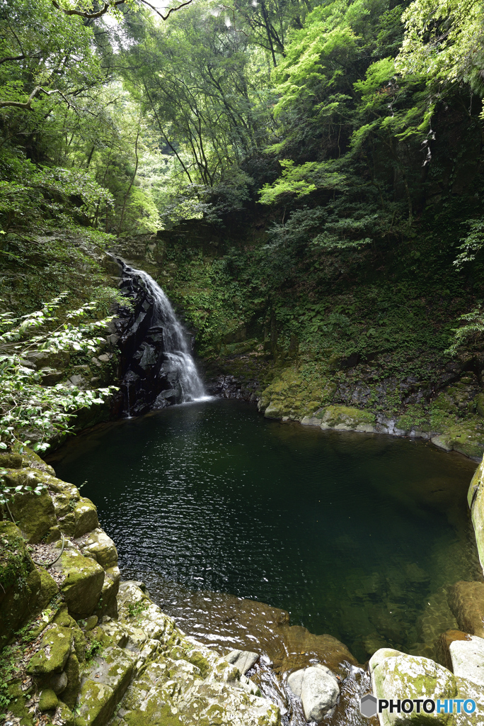 緑と水と