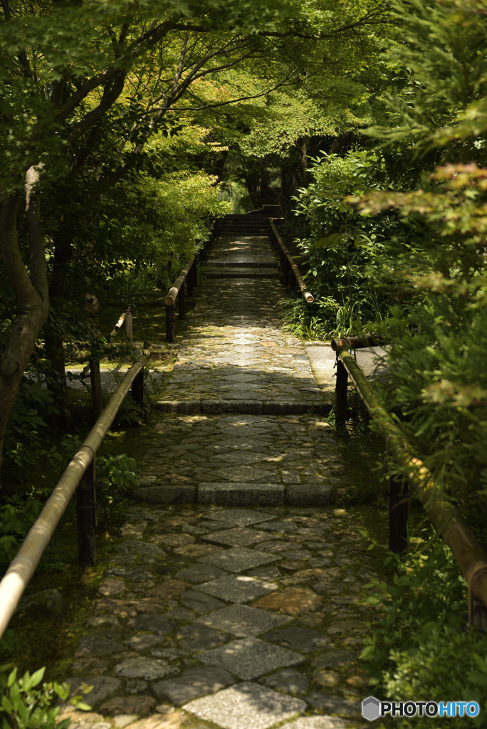 鷹峯