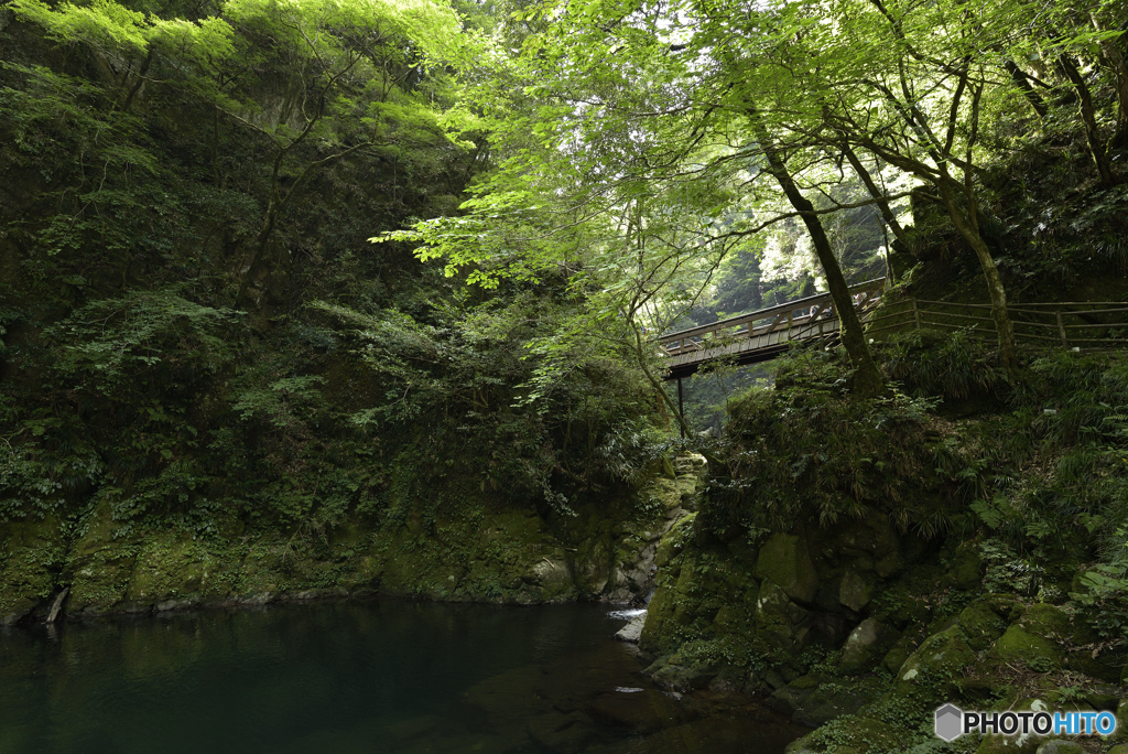 緑と水と