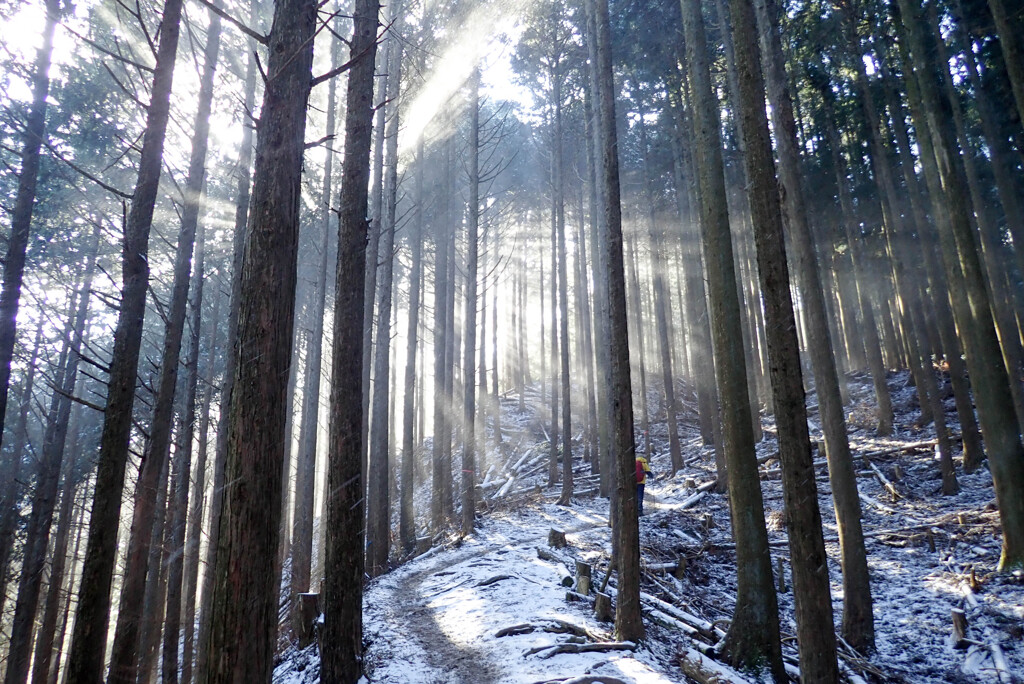 三峰山　冬季登山道