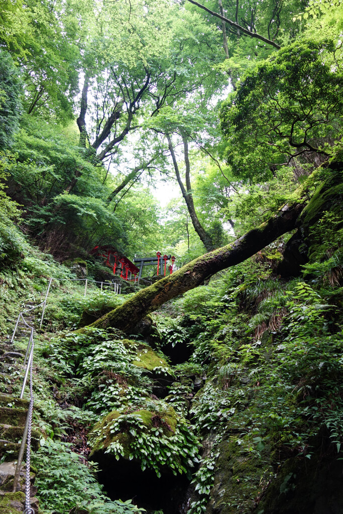 青山高原　奥山愛宕神社