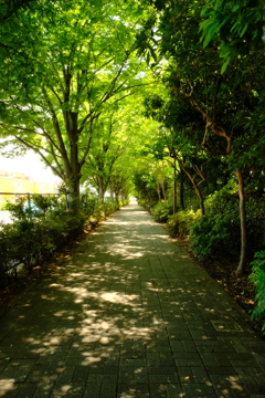 DSCF9486