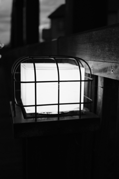DSCF2096