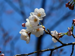 DSCN0470