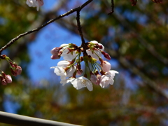 DSCN0471