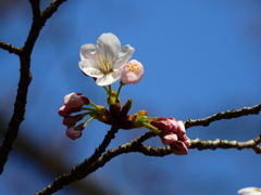 DSCN0468