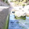 春の流れ