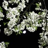 夜桜