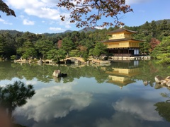 911BBB42-2DD1-4503-8696-7C4932AFEA28