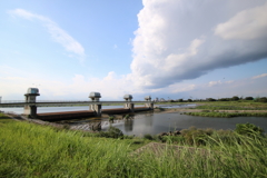 夏の多摩川・・堰