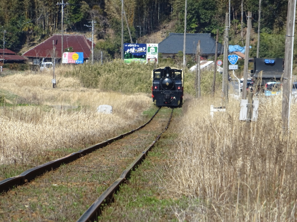 DSC08480