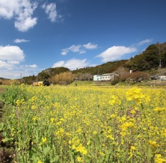 トリム列車やってくる_1043 (1)