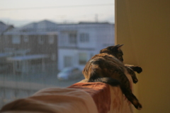 怖くないの？