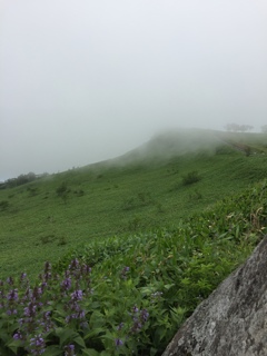 霧…