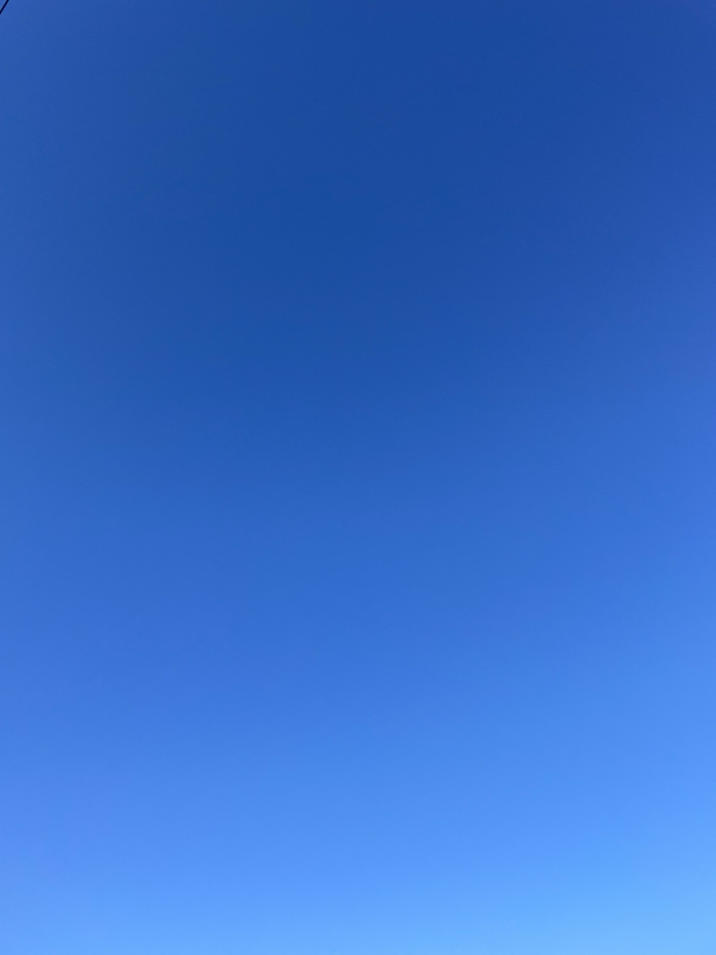 青