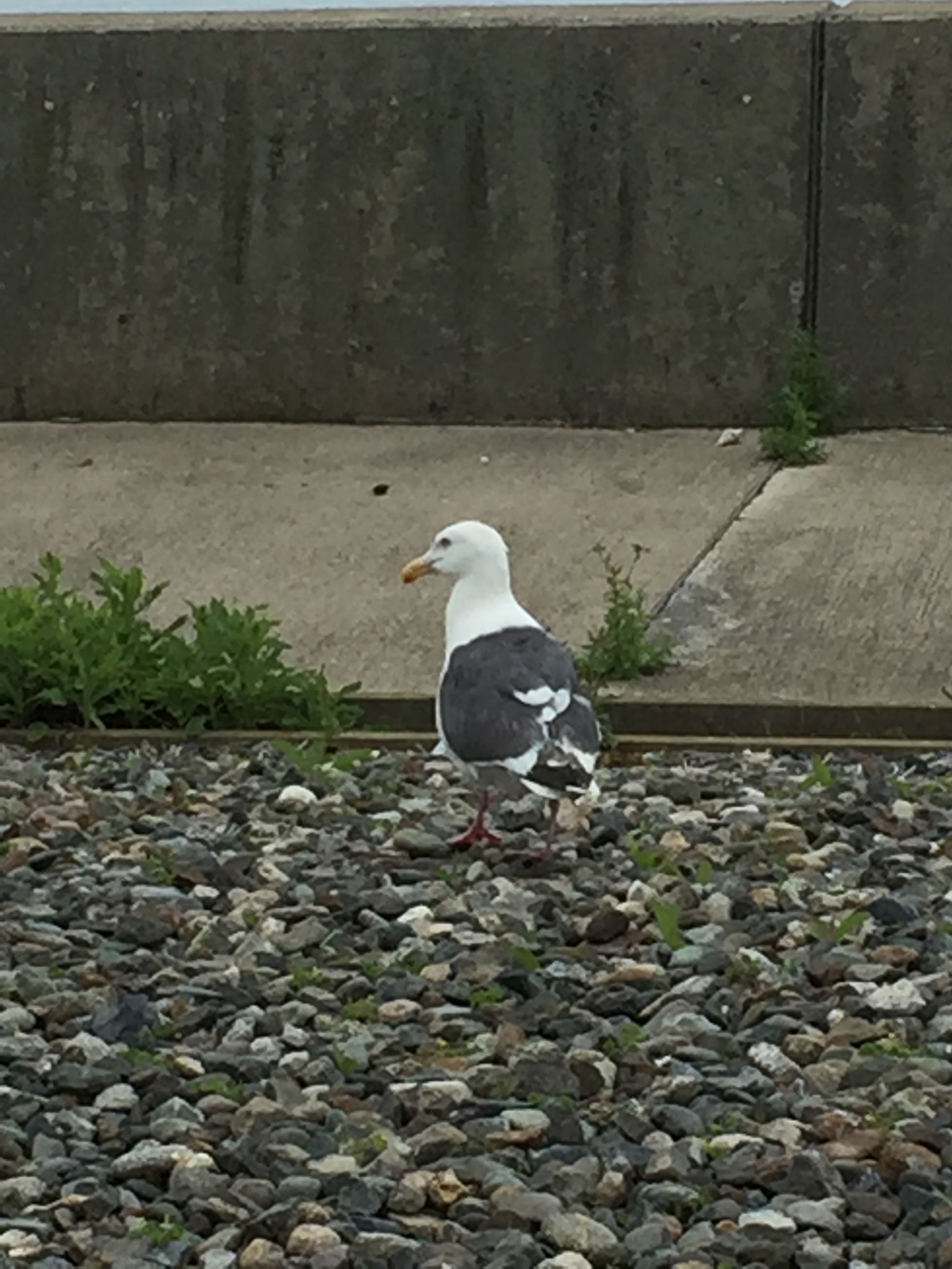 「私に何か？」………(笑)