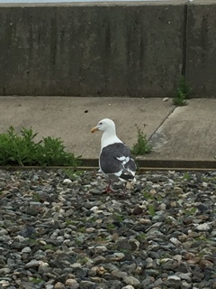 「私に何か？」………(笑)
