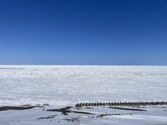 流氷接岸