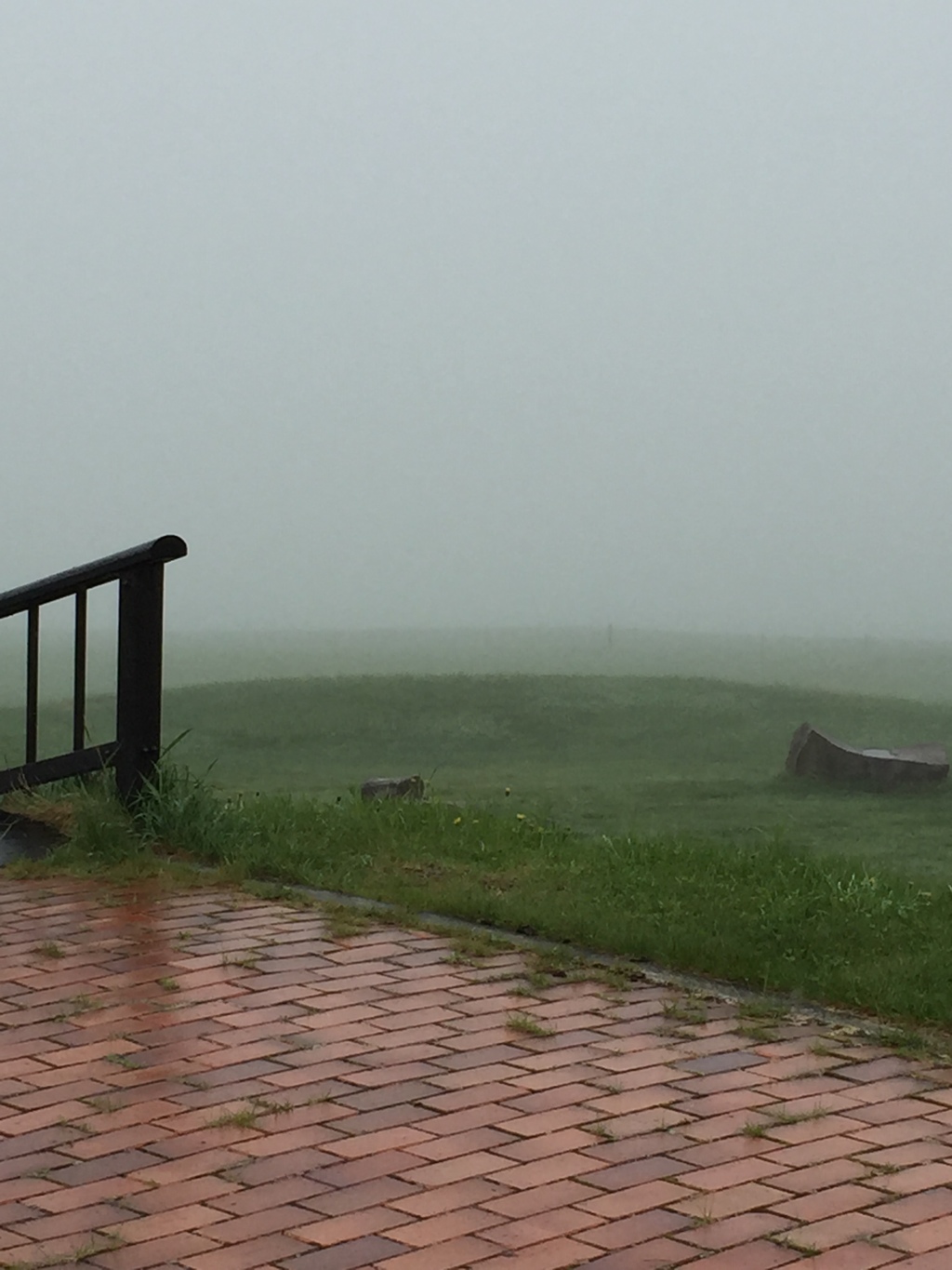 雨の中の高原…
