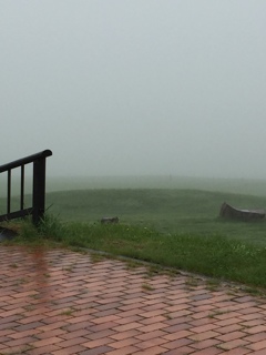 雨の中の高原…