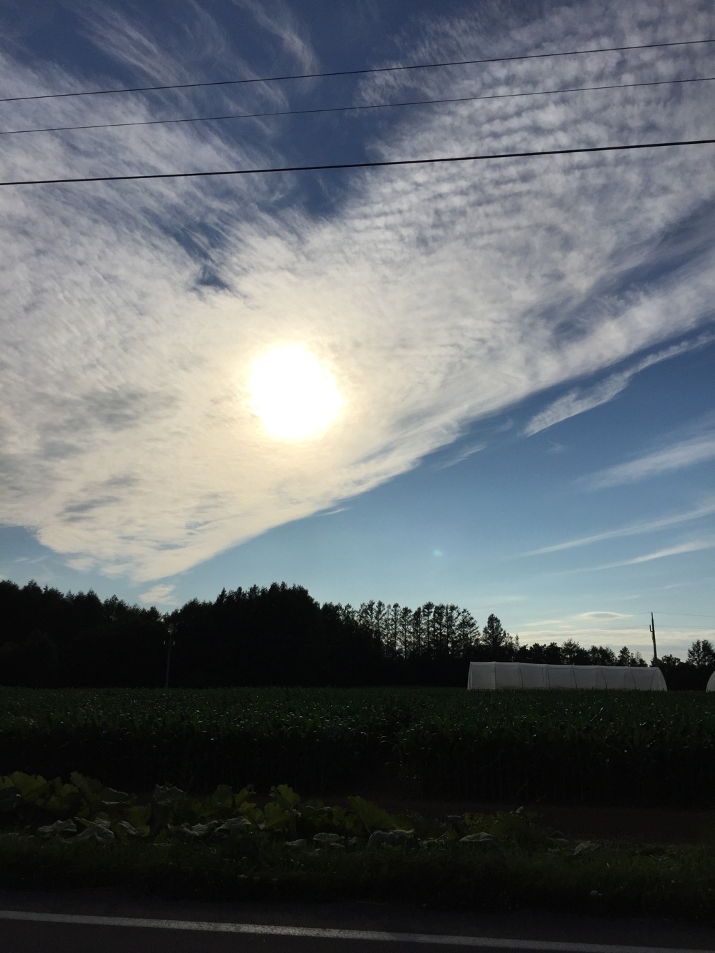 雲の中から…