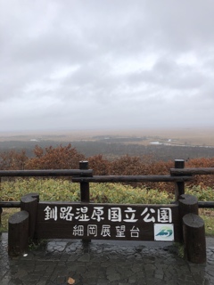 雨の釧路湿原
