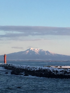 雪化粧…