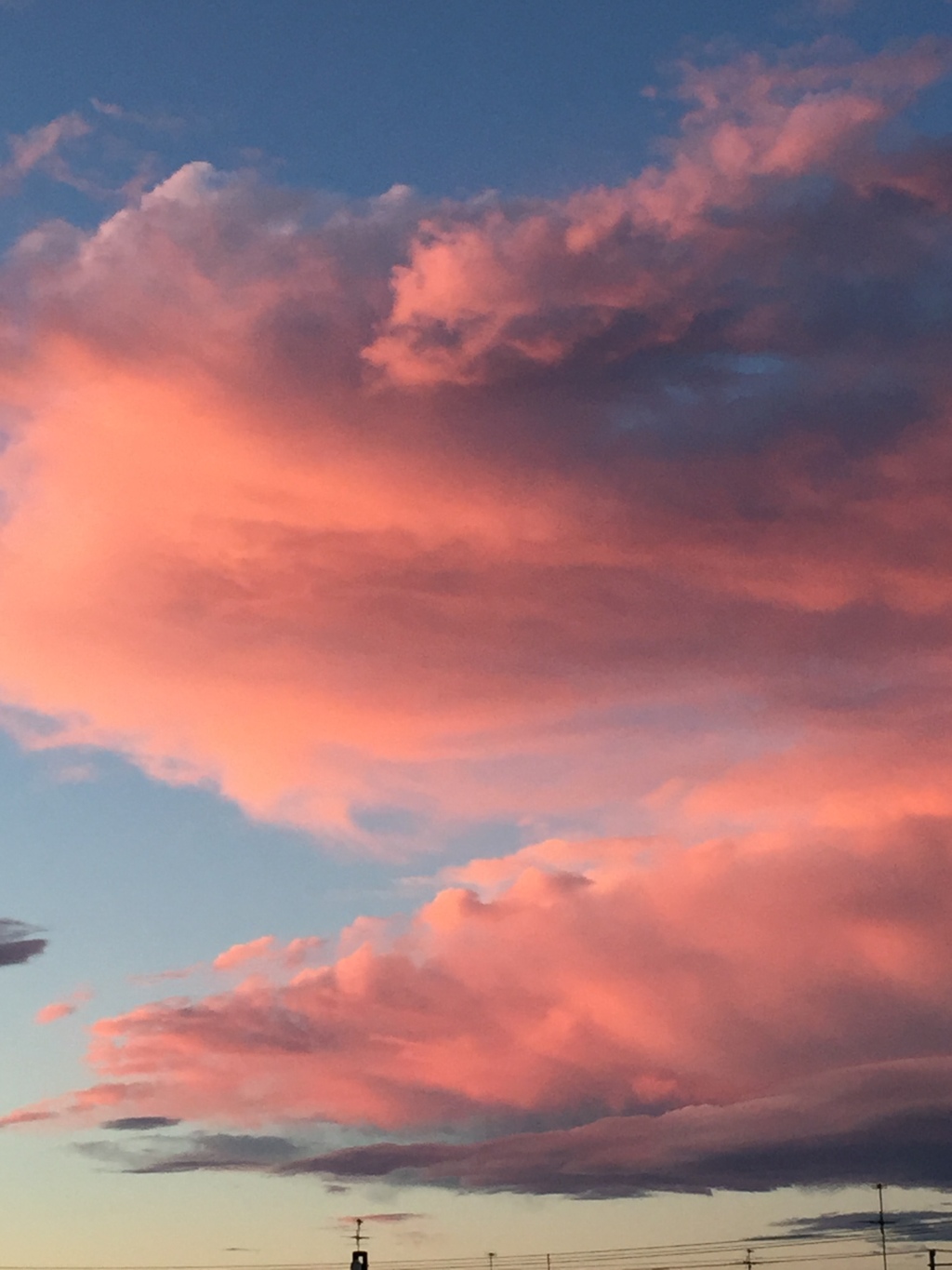 何かに見える？動物…かなぁ