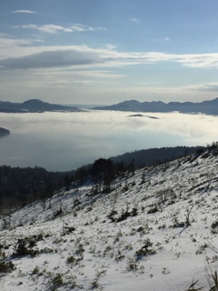 雲海