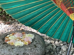 花手水…2