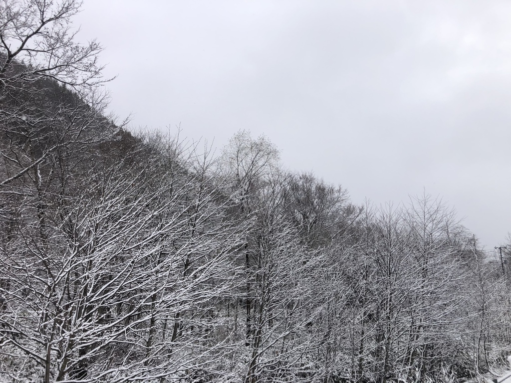 層雲峡は冬景色