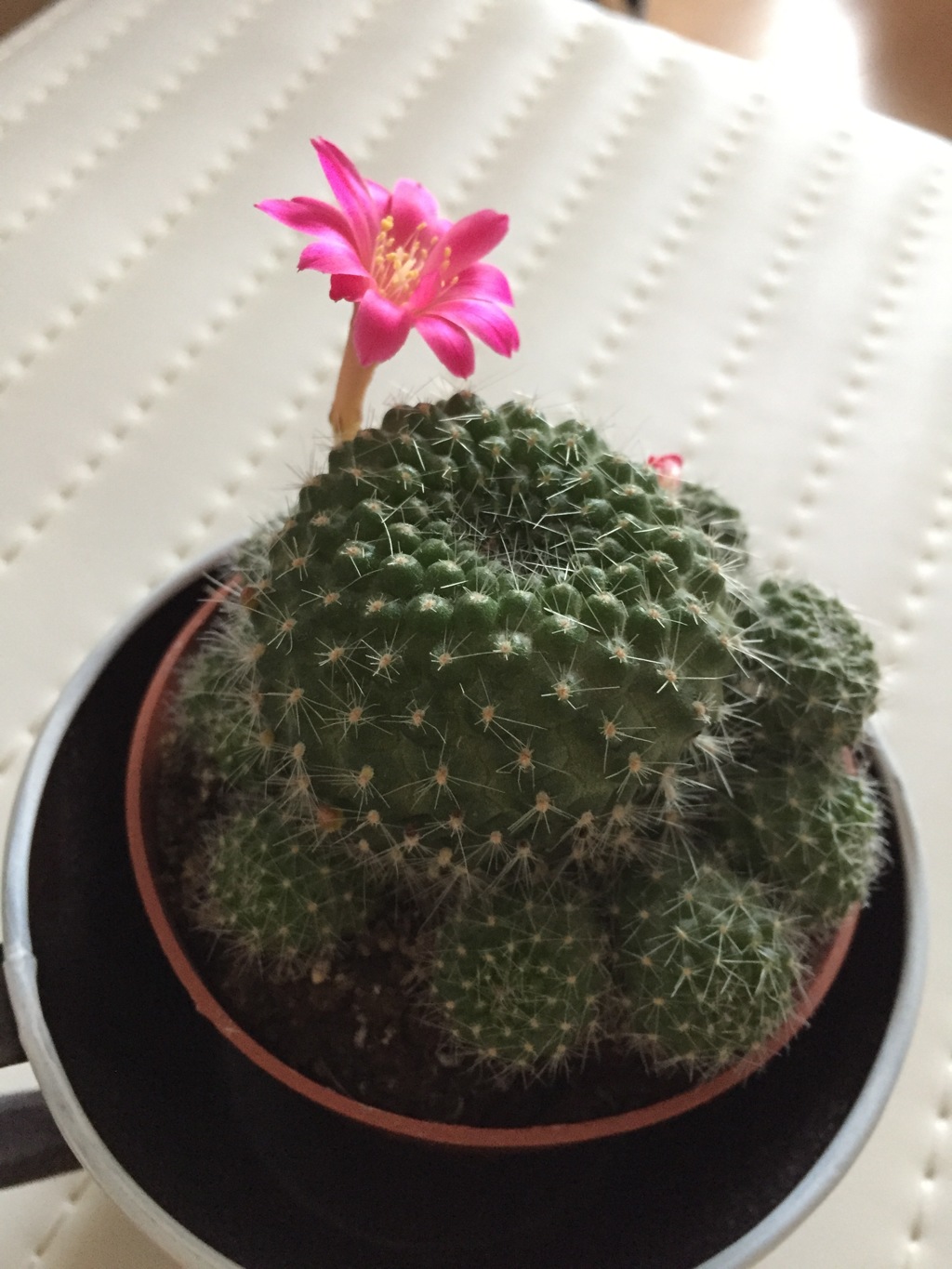 はじめまして…