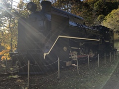D51