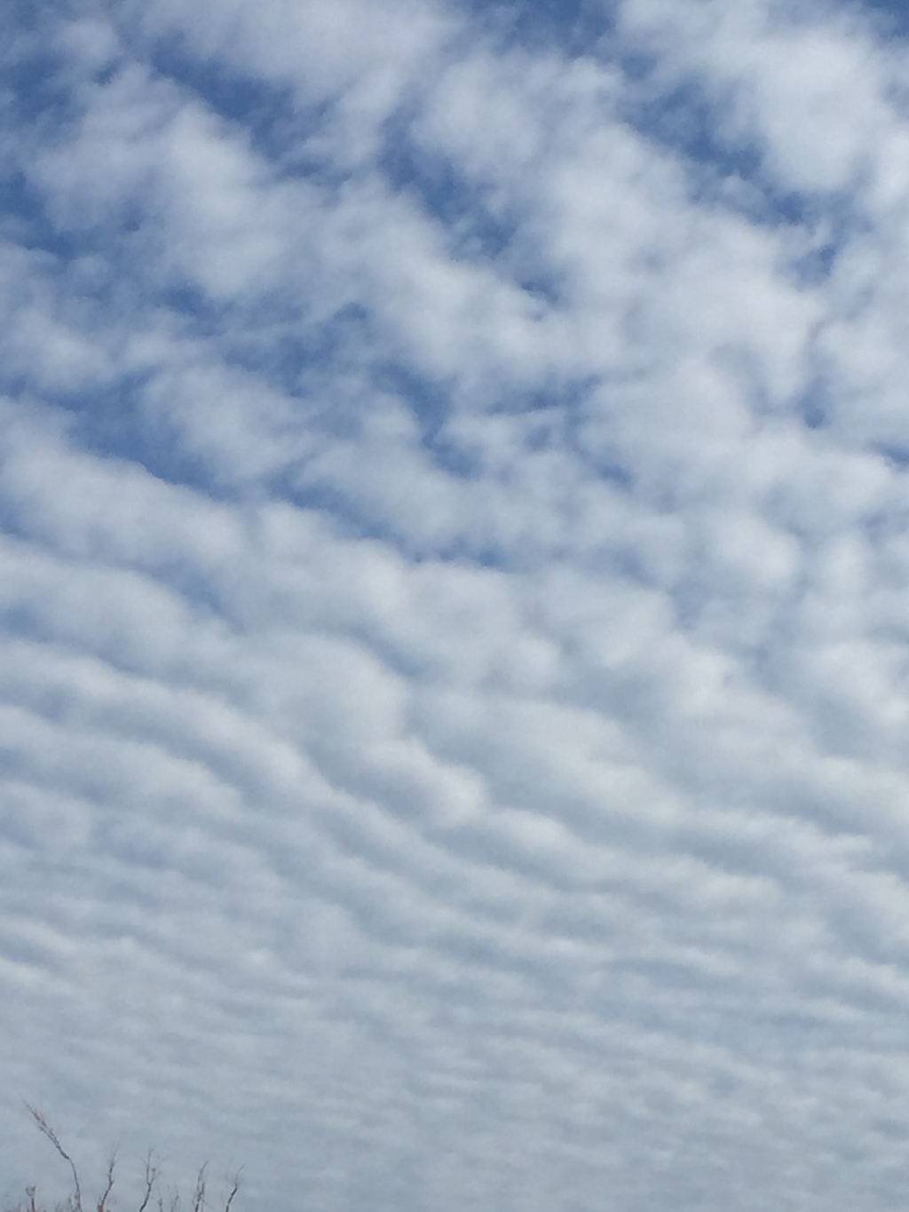 雲の波みたい…