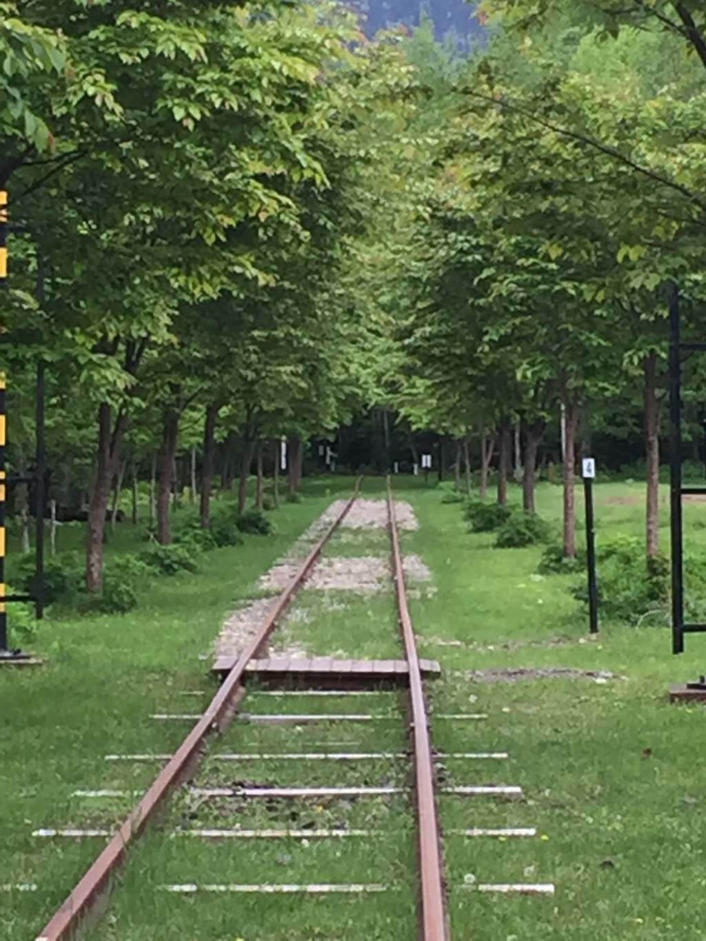 どこまでも…いつまでも…