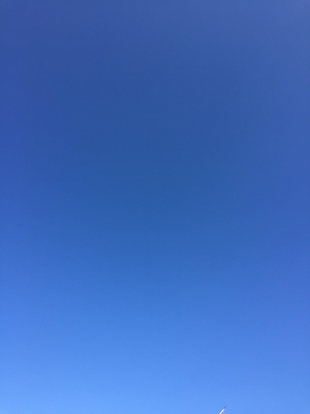 青空…いい天気