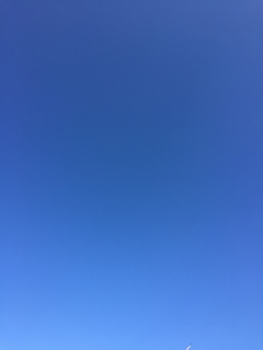 青空…いい天気