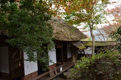 箱根のcmでもお馴染み