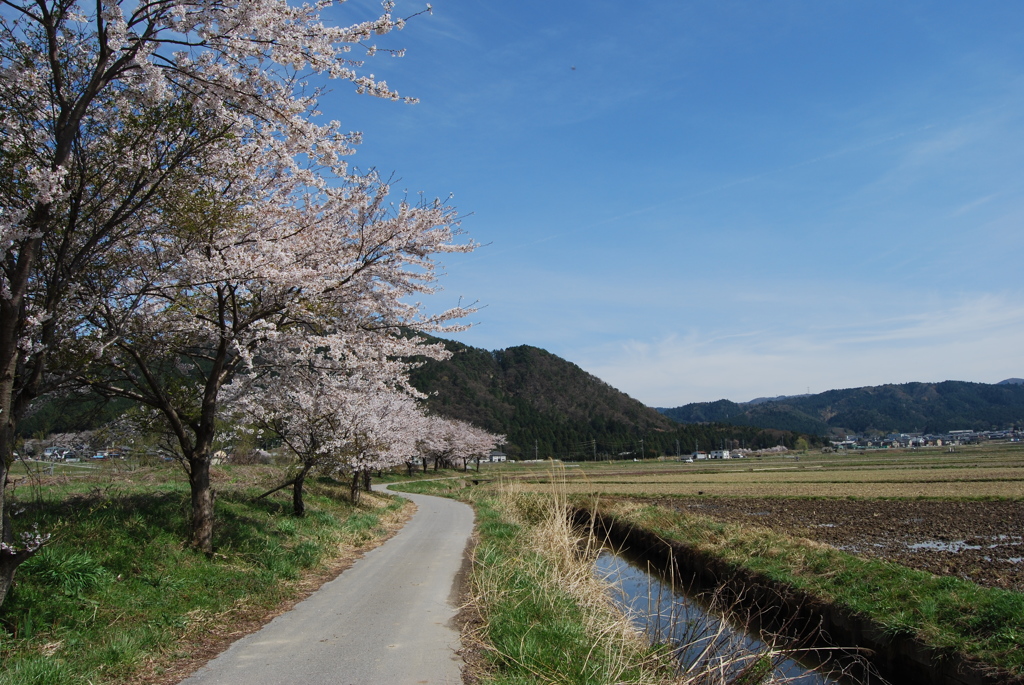 関ヶ原の春