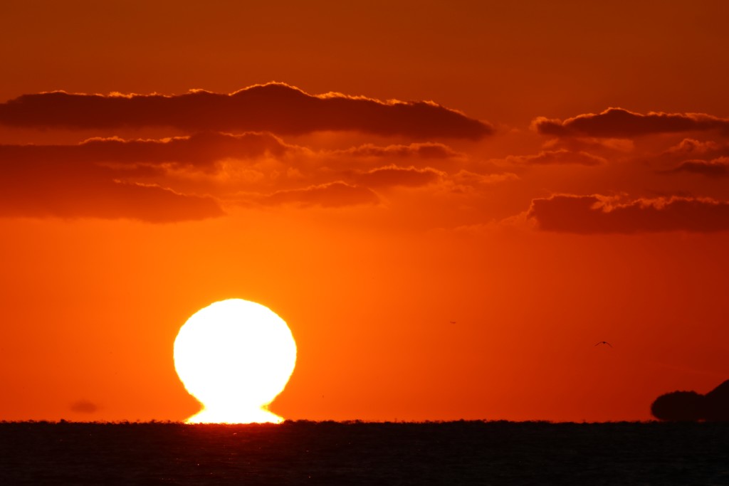 年越しの　夕日だるまが　微笑んで