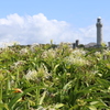 角島2017夏　灯台