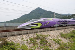 EVA500 in  houhu