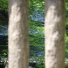 チラリズム