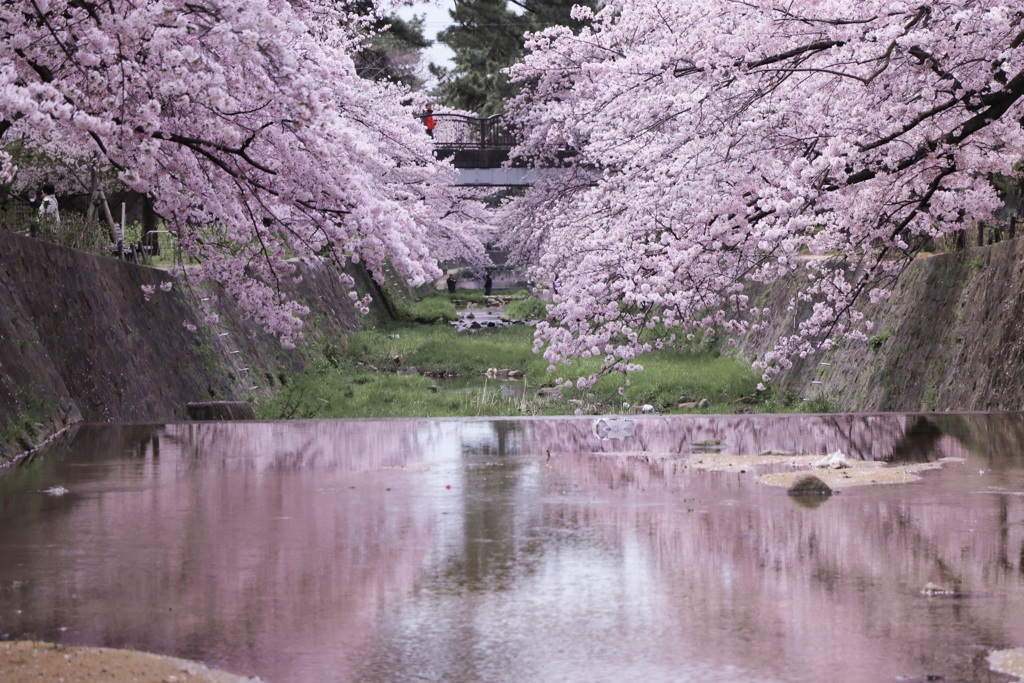 虚像