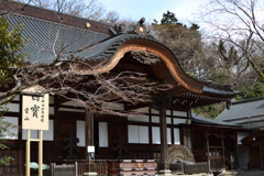 深大寺　本殿