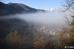 霧の白川郷